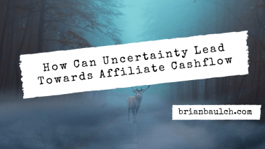 How Can Uncertainty Lead Towards Affiliate Cashflow