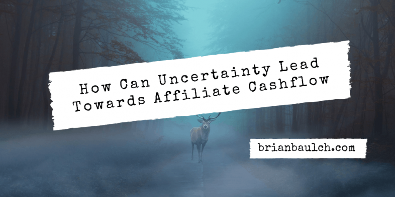 How Can Uncertainty Lead Towards Affiliate Cashflow